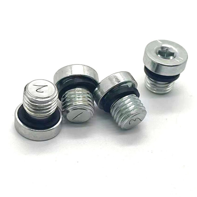 HU08 Hexagon Socket Screw Plugs With ED Sealing Ring